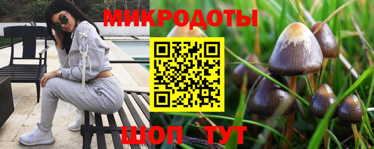 Тара  Псилоцибиновые грибы MAGIC MUSHROOMS  Вход с VPN  Псилоцибиновые грибы Cubensis 