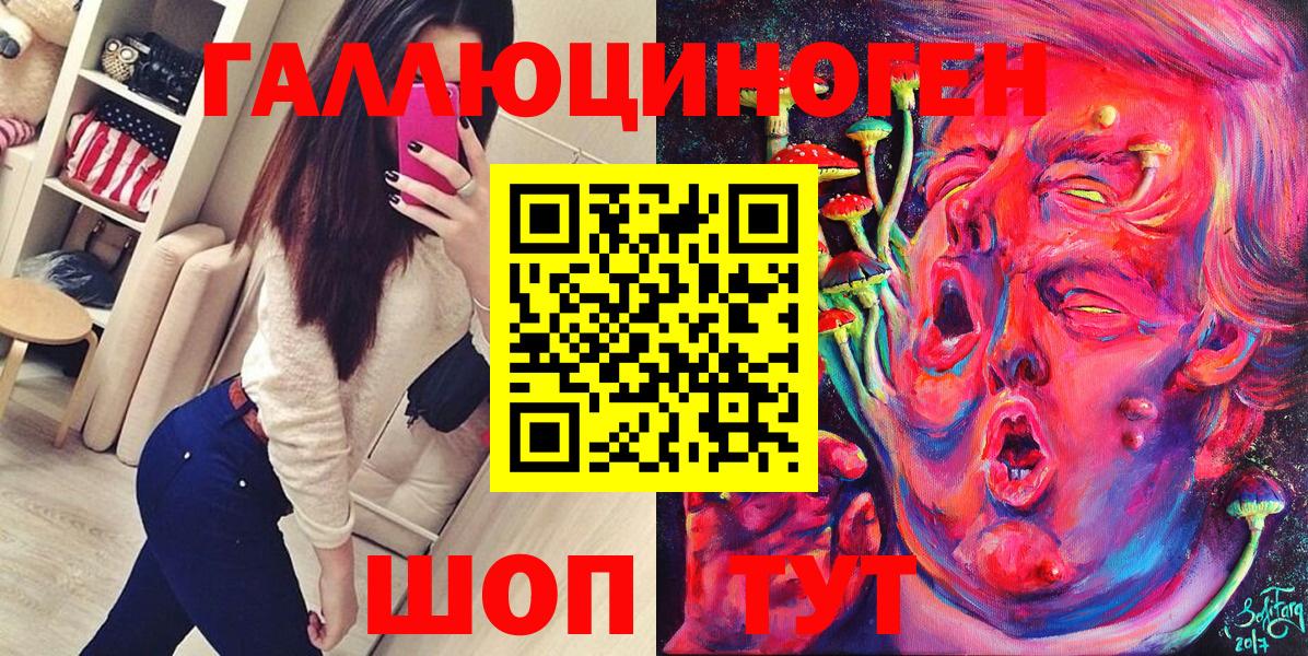 Псилоцибиновые грибы Psilocybe Тара